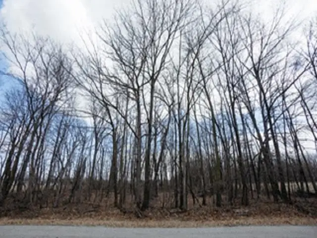 Nelson Road #3, Fond Du Lac, WI 54937 - Image #1