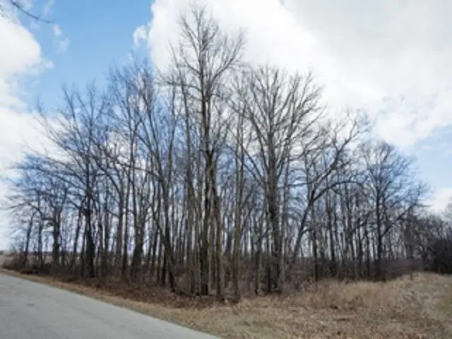 Nelson Road #3, Fond Du Lac, WI 54937 - Image #2