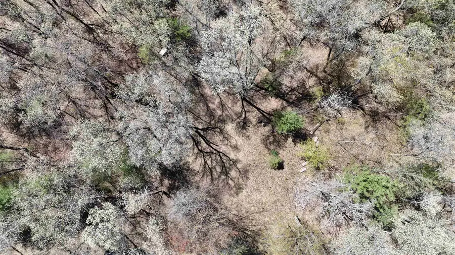 N1543 Spirit Ridge Road #44, Keshena, WI 54135-0000 - Image #2