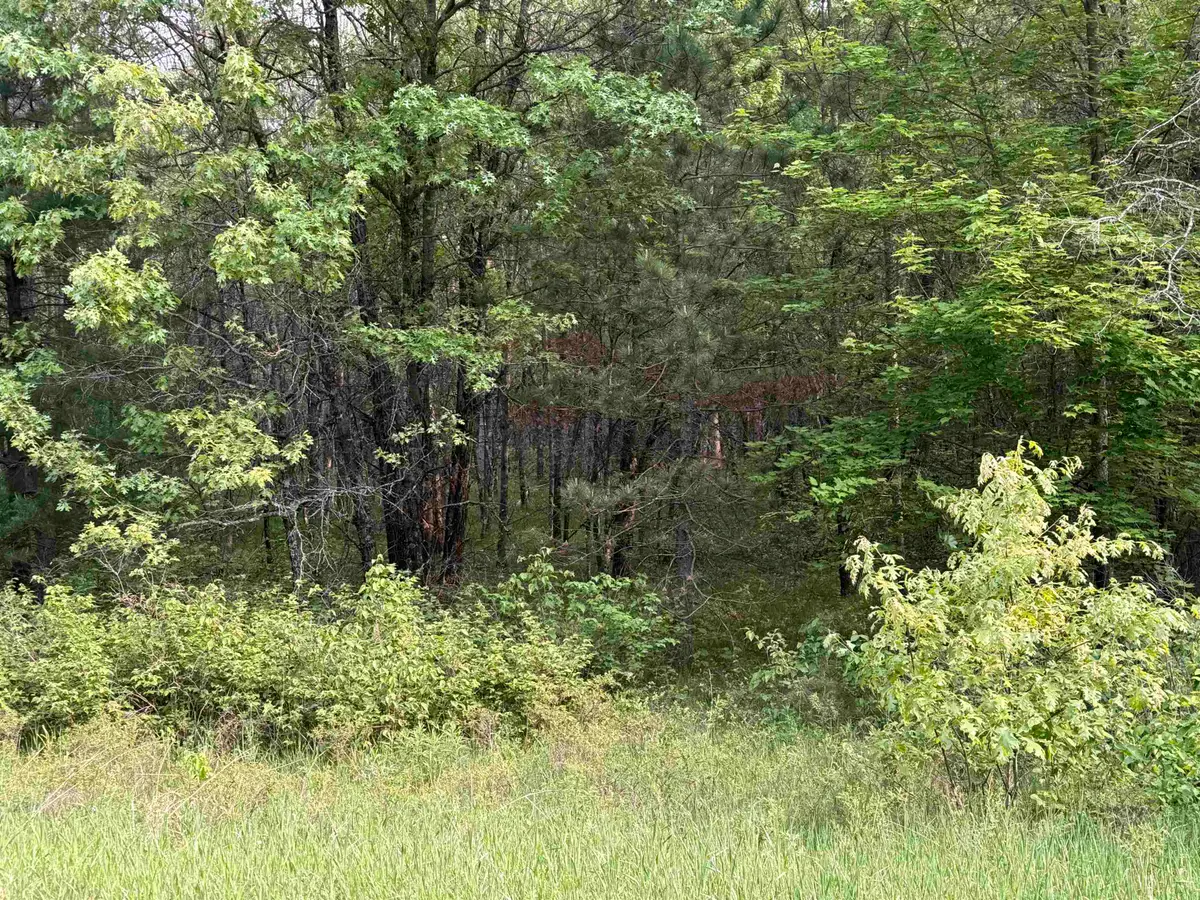 W1926 Great Bear Road, Keshena, WI 54135-0000 - Image #1