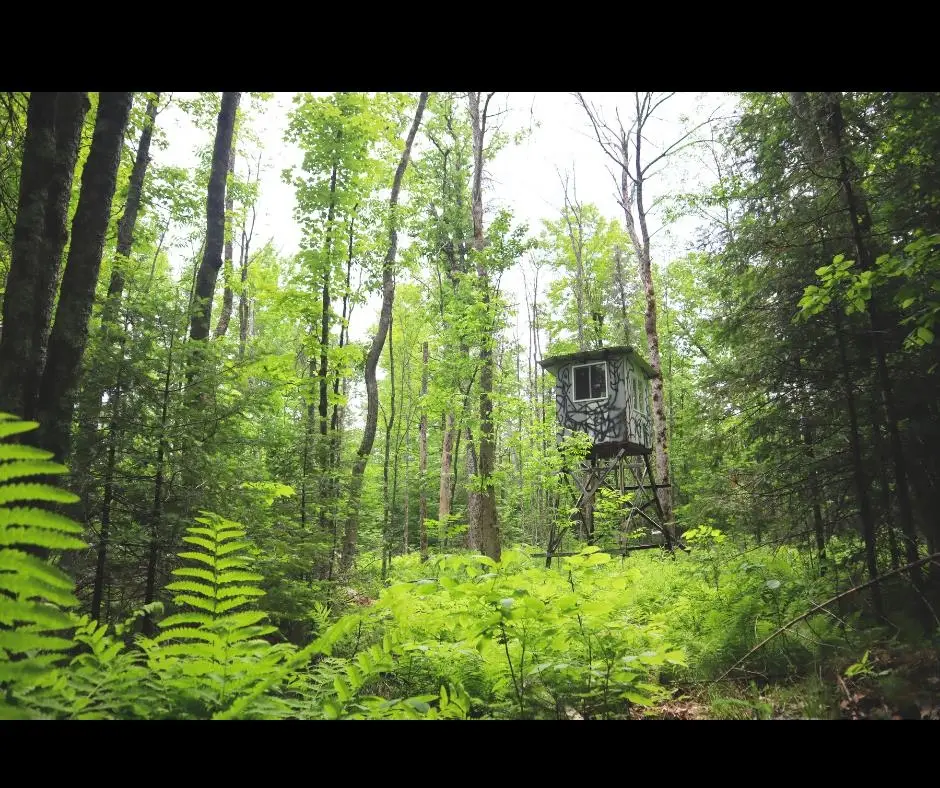 Westberg Road, Amberg, WI 54102 - Image #1