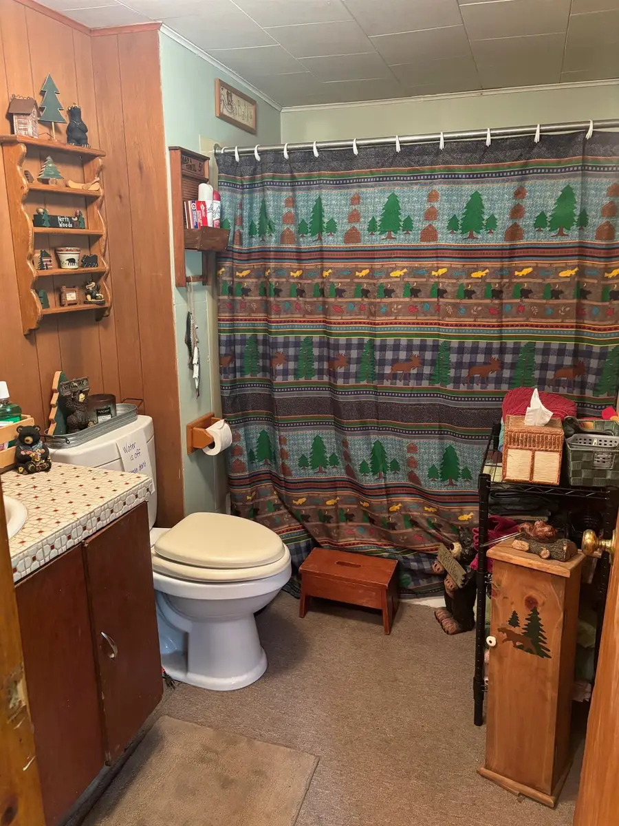 13344 Hwy 32, Mountain, WI 54149 - Image #3