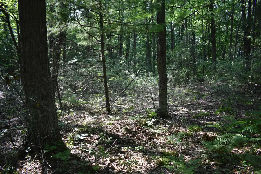 Hale Road, Peshtigo, WI 54157 - Image #3