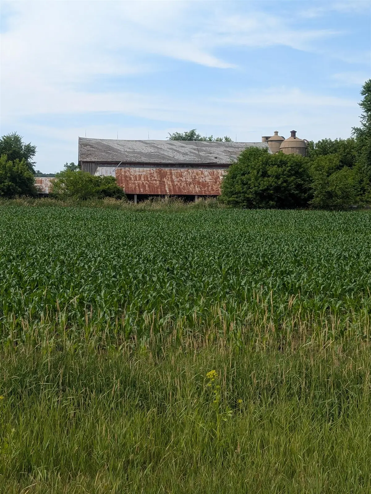 Hwy T #2, New London, WI 54961 - Image #1