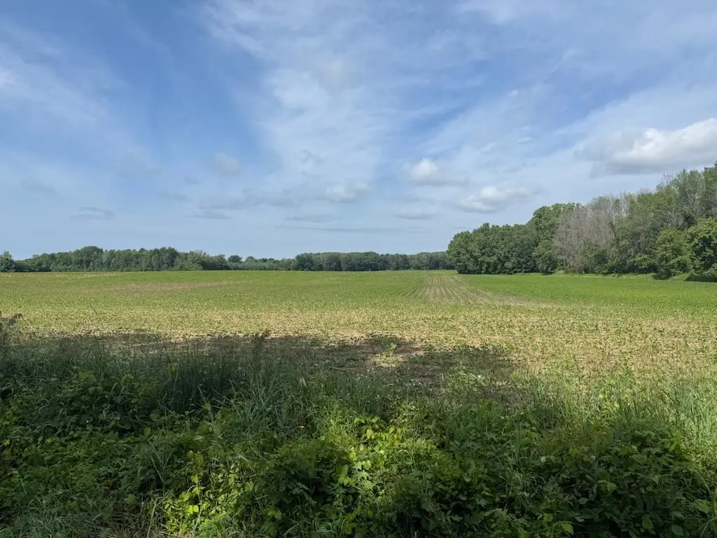 Ball Park Road, Little Suamico, WI 54141 - Image #1