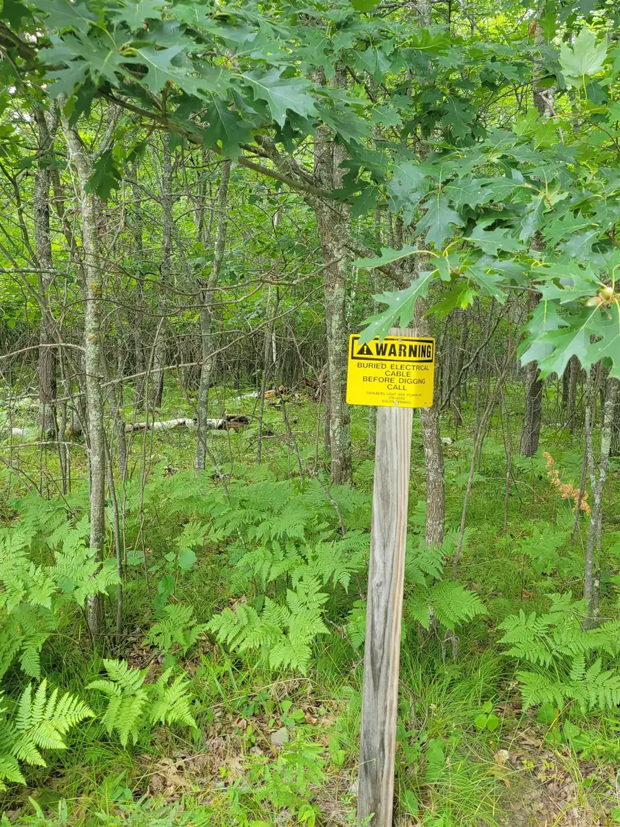 Thorn Lake Loop #25, Wascott, WI 54838 - Image #3