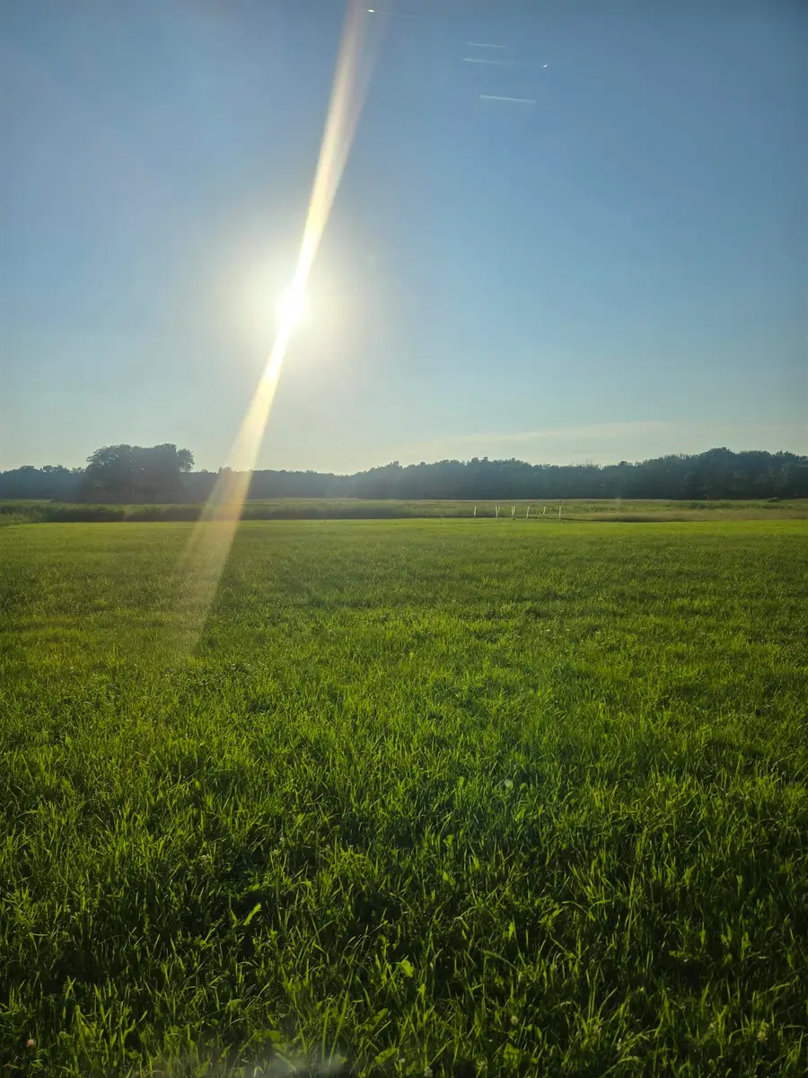 Velp Avenue #2, Suamico, WI 54173 - #2