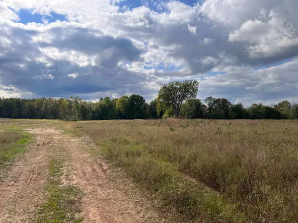 Just Road #5, WAUSAUKEE, WI 54177