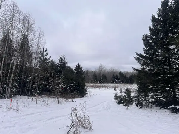 Dream Lake Road #5, TIPLER, WI 54542