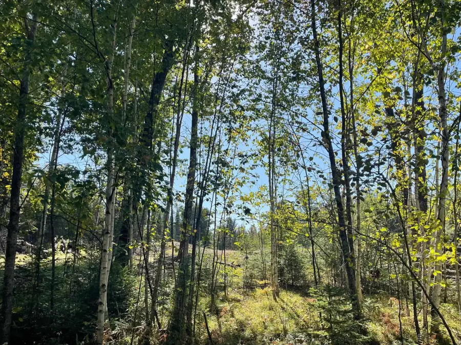 Angel Crest Lane, Lakewood, WI 54138 - Image #2