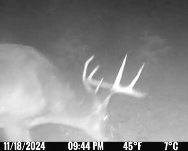 Morgan Drive, Waupaca, WI 54981 - Image #2