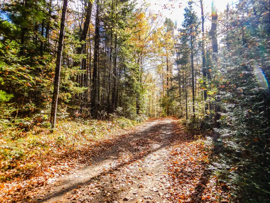 N16656 Dexter Drive, Pembine, WI 54156 - Image #3