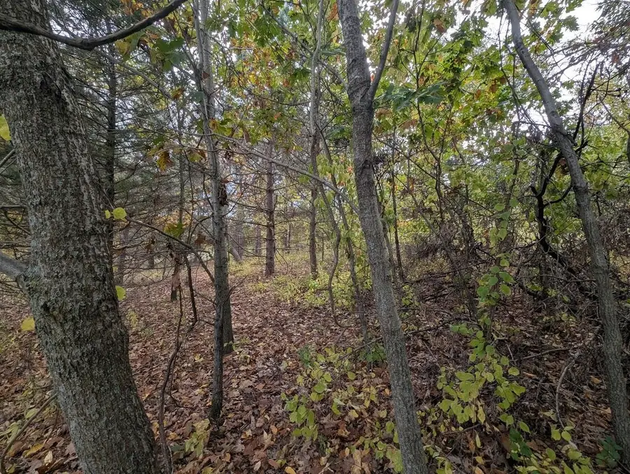 County Road Cc #1, Green Lake, WI 54941 - Image #2