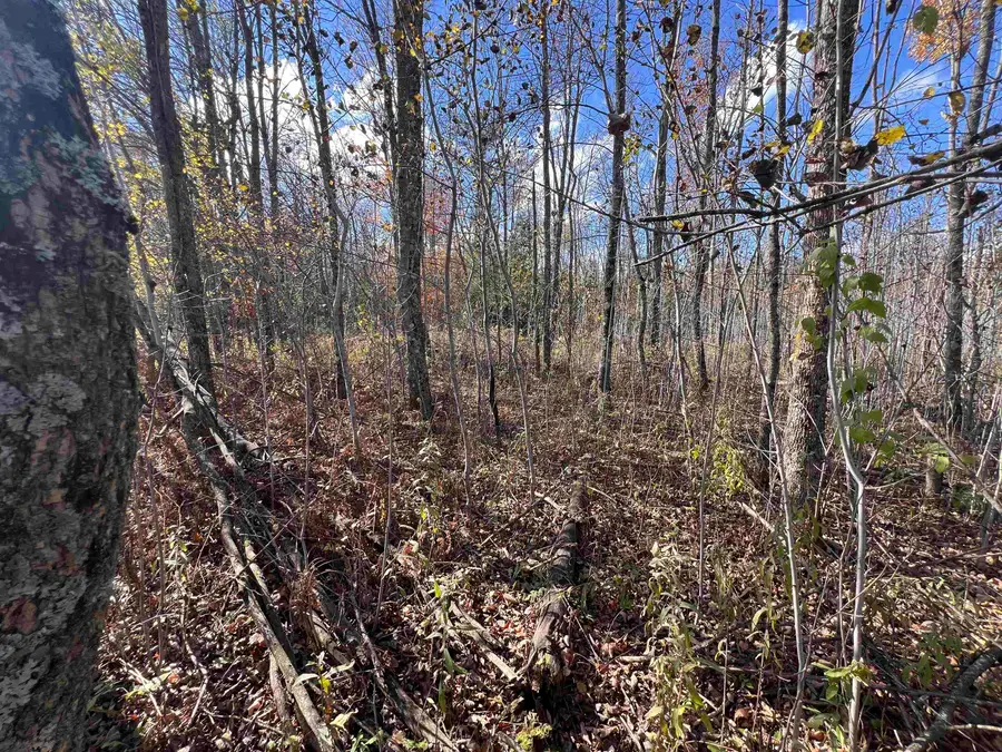 Just Road #6, Wausaukee, WI 54177 - Image #2