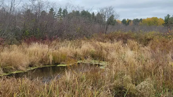 County Highway J, KENNAN, WI 54537