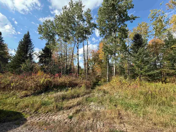 Hwy 52, LILY, WI 54491-0000