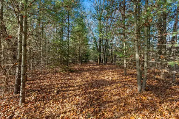 Eagle Road, NESHKORO, WI 54960