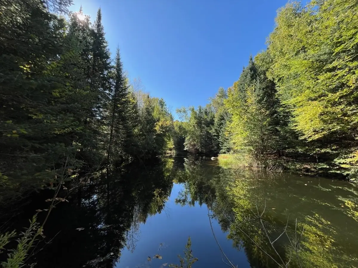 N Firelane Road, White Lake, WI 54491 - Image #1