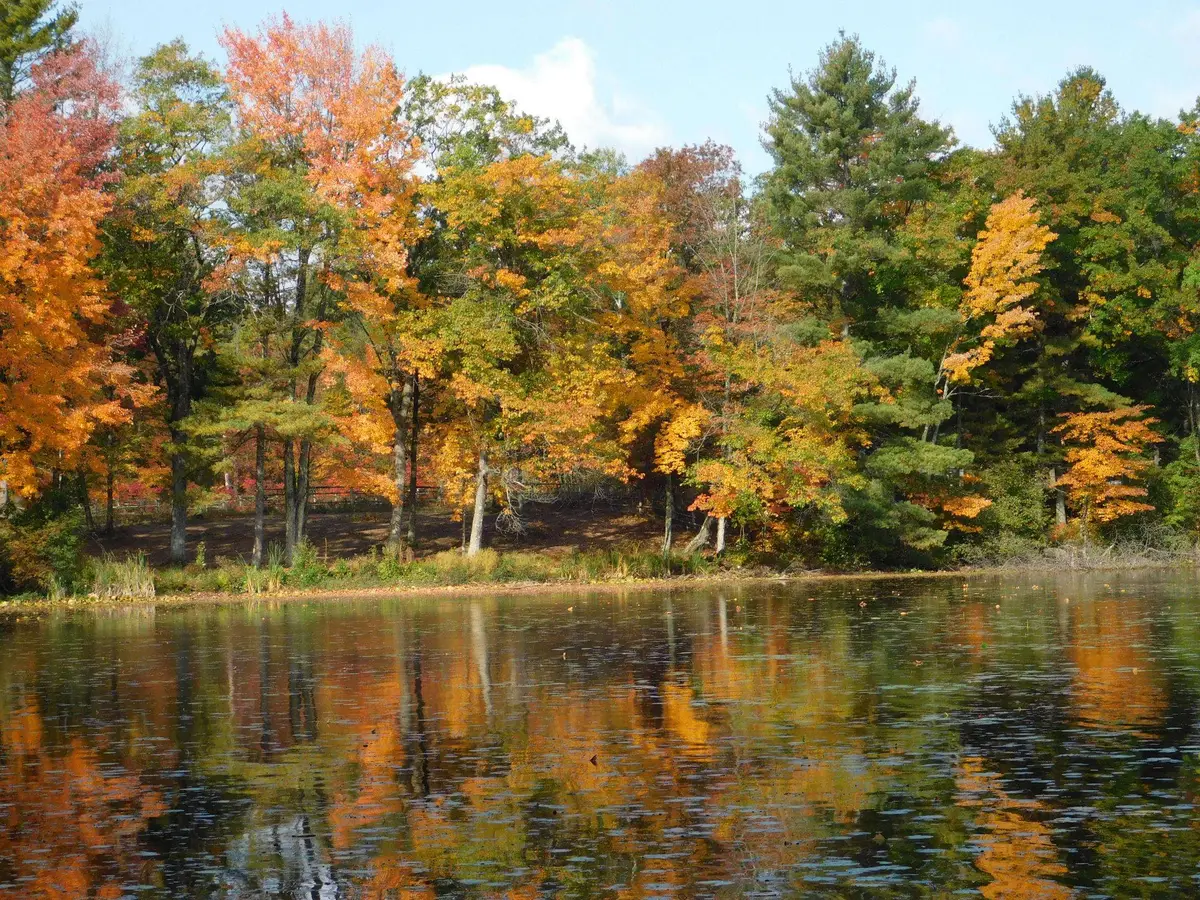 W606 Joe Johnson Road, Suring, WI 54174-9447 - Image #1