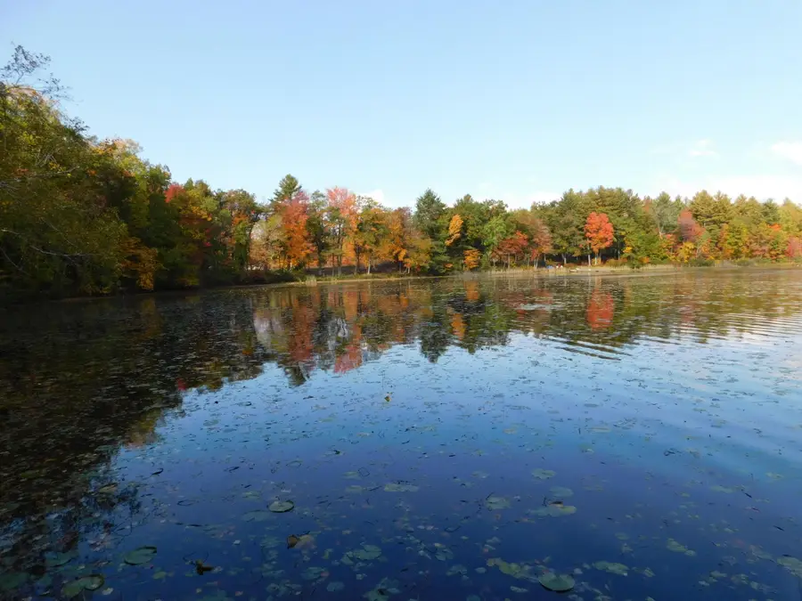 W606 Joe Johnson Road, Suring, WI 54174-9447 - Image #3