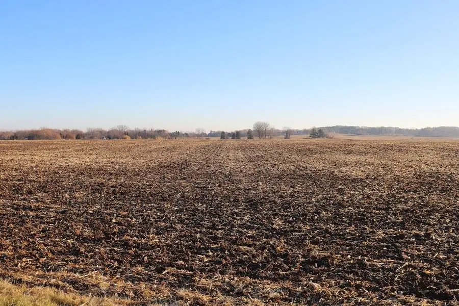 Meade Street, Appleton, WI 54913 - Image #2