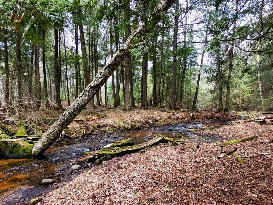 N6804 State Highway M35, Stephenson, MI 49887 - Image #3