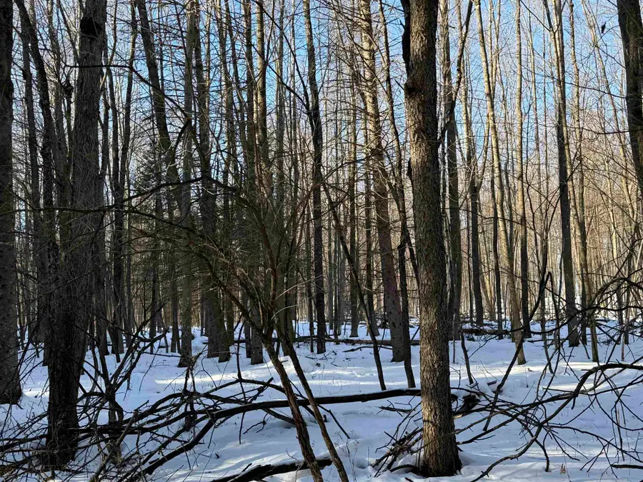 Kastner Road, Tigerton, WI 54486-0000 - Image #2