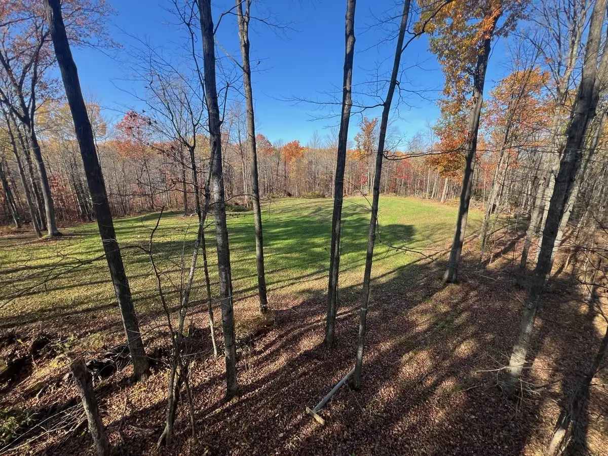 County Rd Y, Hatley, WI 54440 - Image #1