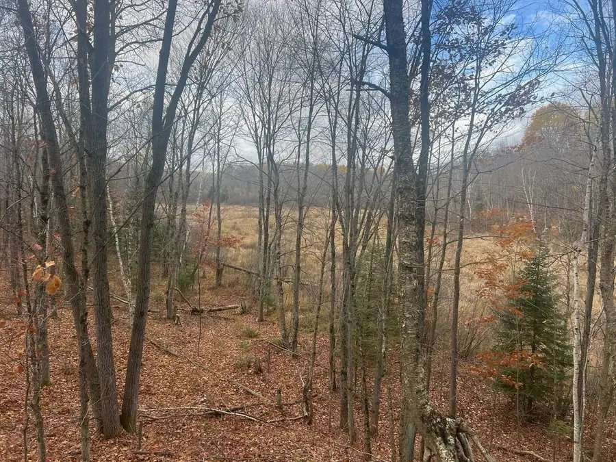 County Rd Y, Hatley, WI 54440 - Image #2