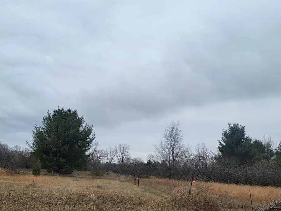 Sheridan Street #3, Oconto Falls, WI 54154 - Image #2