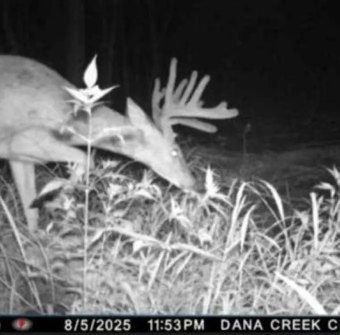 W17810 W Eland Road, Wittenberg, WI 54499 - Image #2