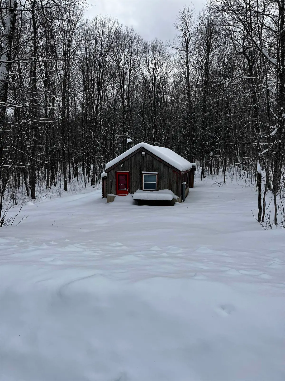 11505 Shannon Road, Tipler, WI 54542 - Image #1