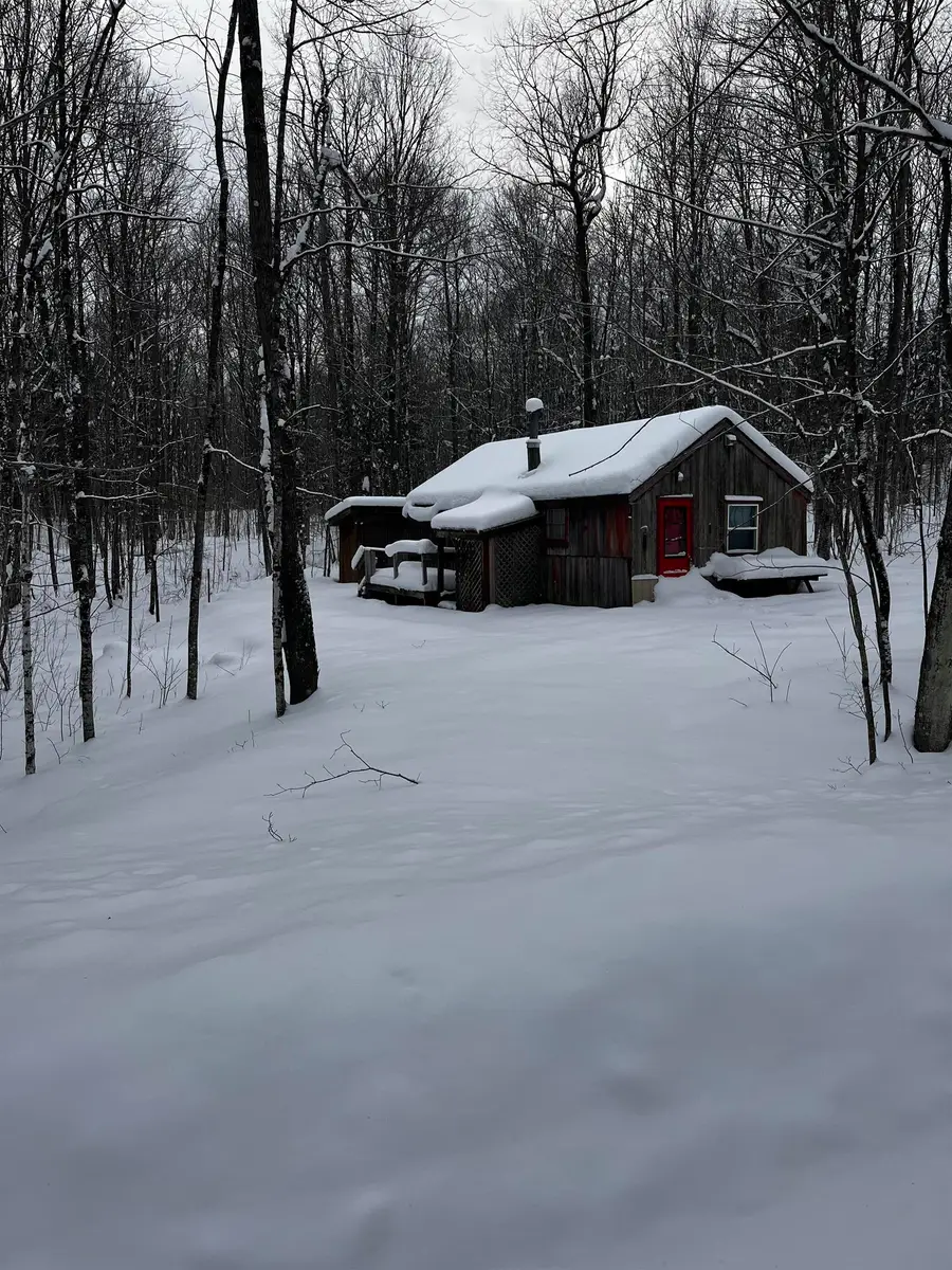 11505 Shannon Road, Tipler, WI 54542 - Image #2