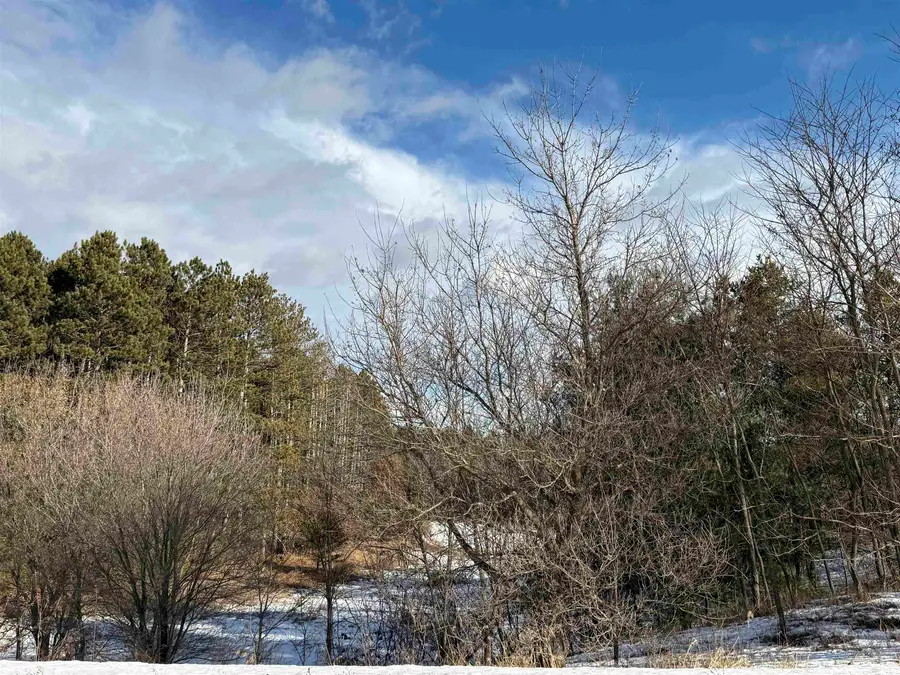 Settlement Road, Gillett, WI 54124 - Image #3