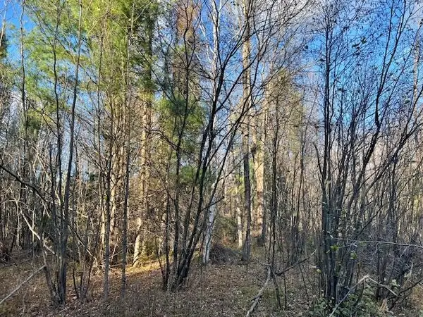 Barker Road, AMBERG, WI 54102