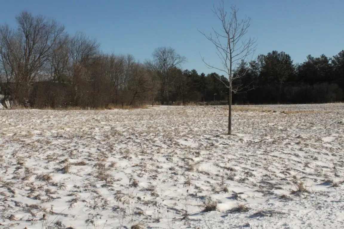 1005 Mill Pond Circle #3, Weyauwega, WI 54983 - Image #1