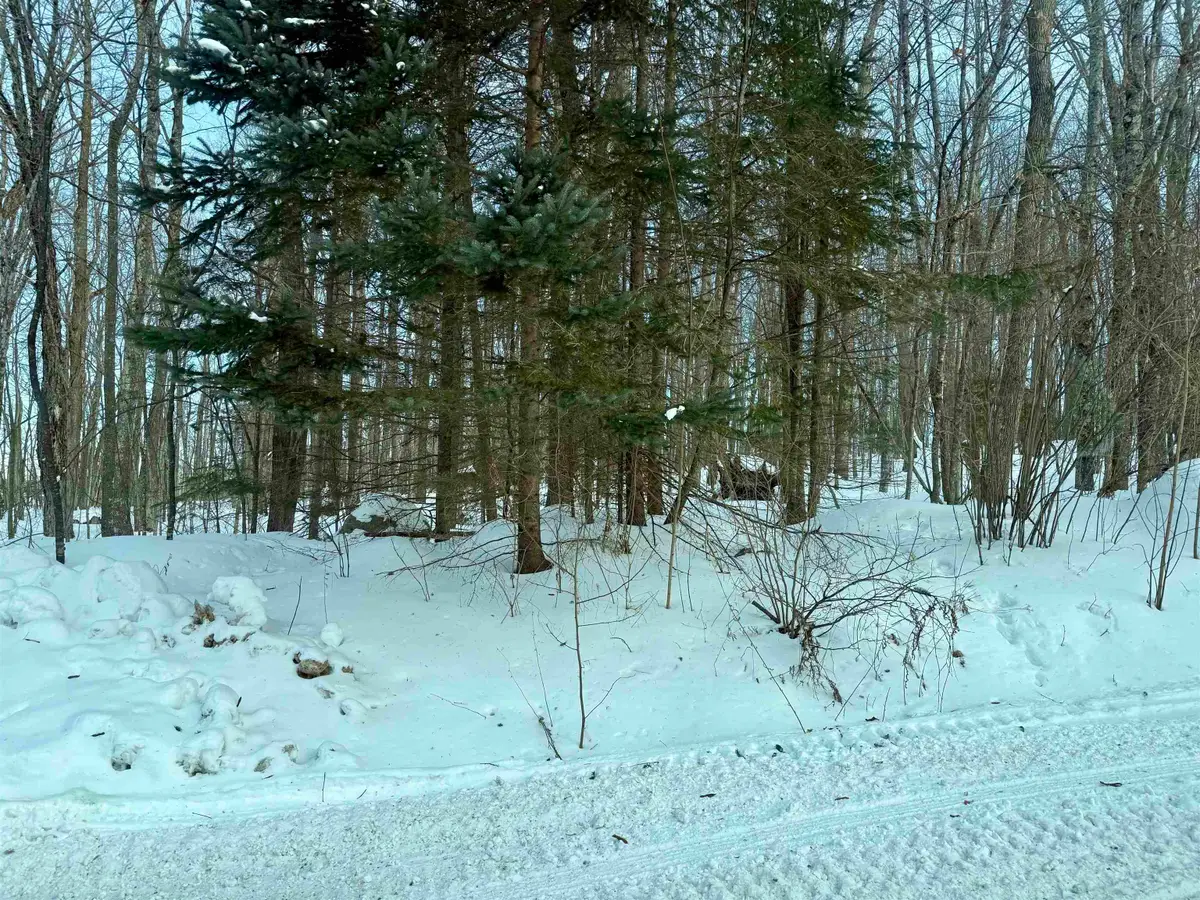 Jones Avenue, Wabeno, WI 54566 - Image #1