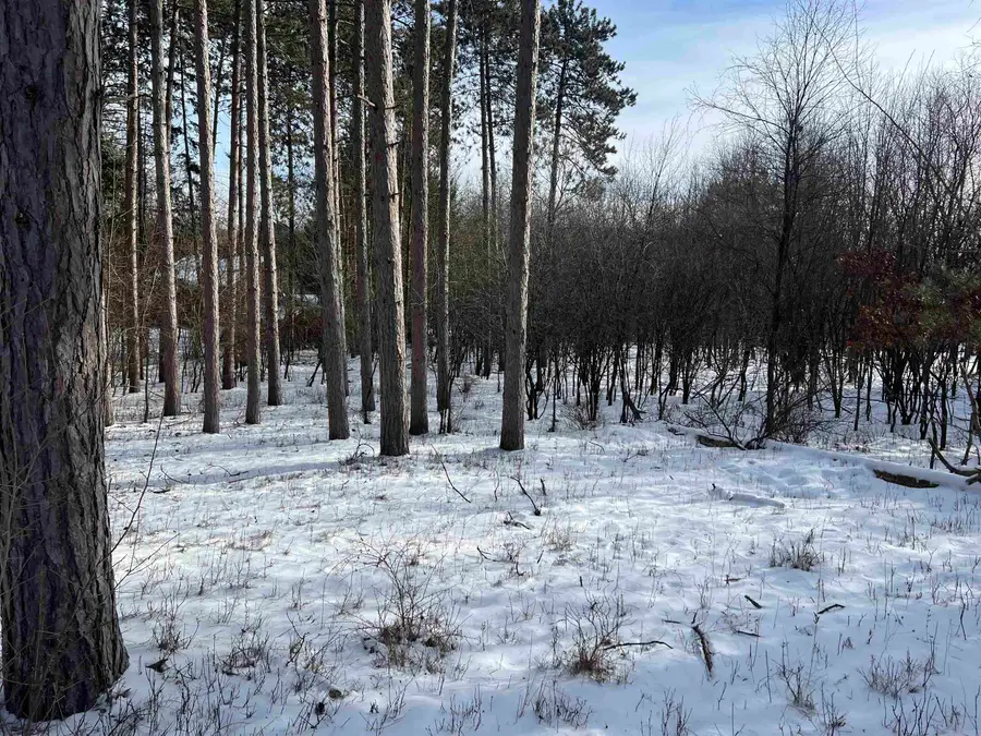 E2446 E Lamplighter Lane Lane, Waupaca, WI 54981 - Image #2