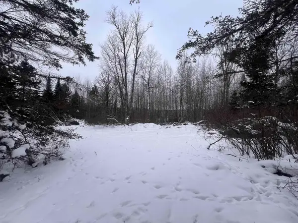 Dream Lake Road #4, TIPLER, WI 54542