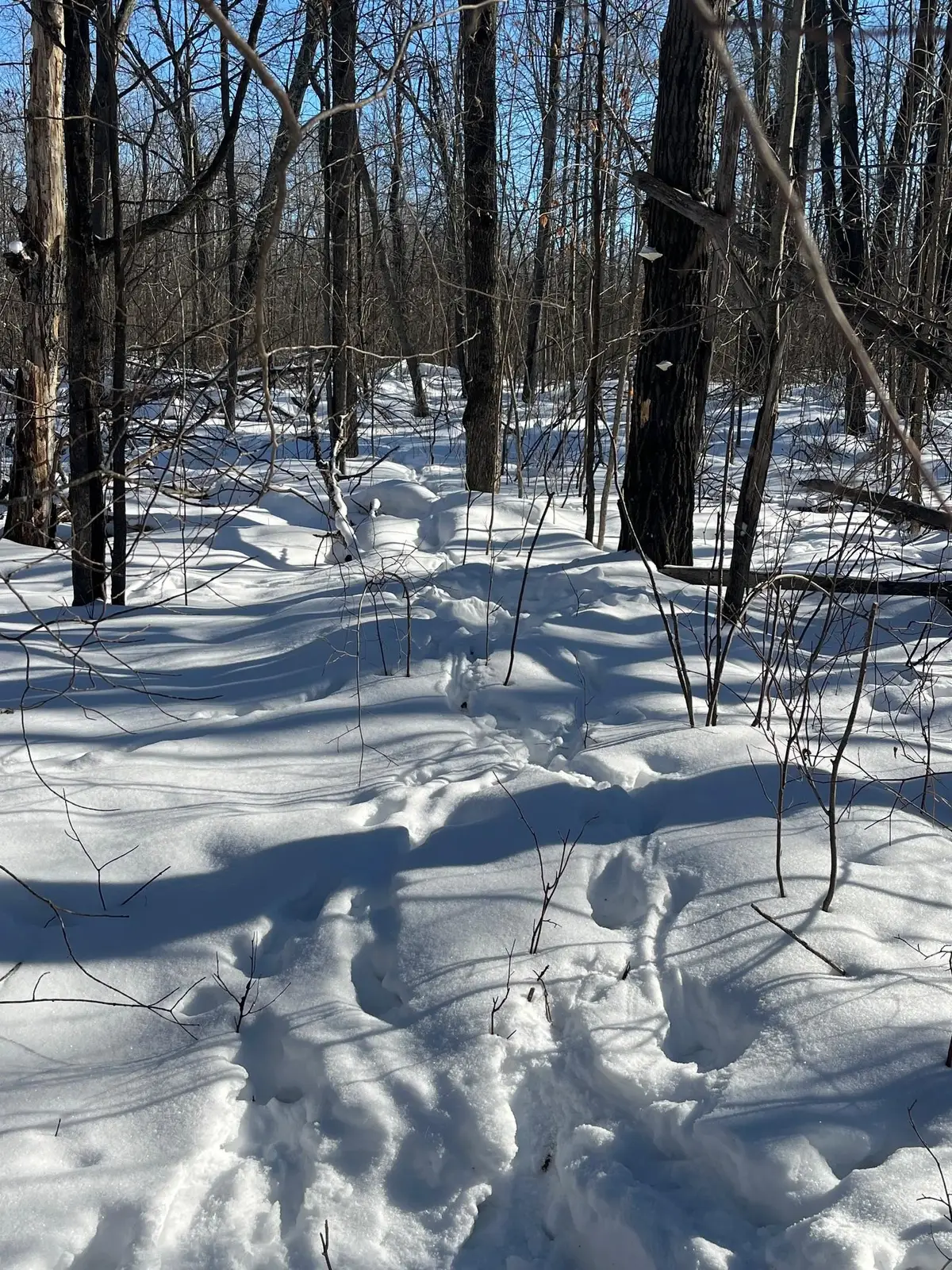 Reppert Road, Exeland, WI 54835 - #1