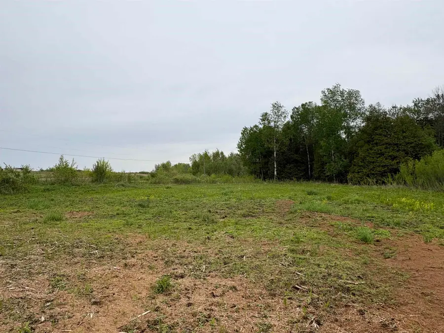 Depot Street, Bonduel, WI 54107 - #3