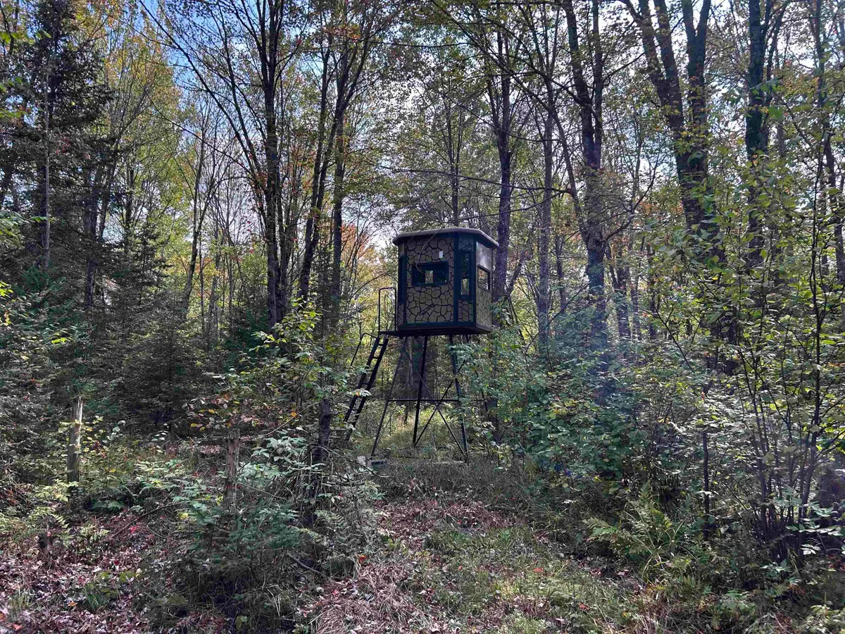 W13821 Lloyd Creek Road, Gleason, WI 54435 - #1