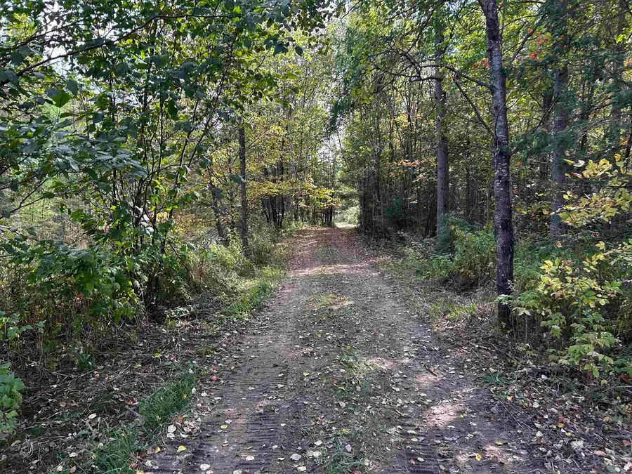 W13821 Lloyd Creek Road, Gleason, WI 54435 - #3