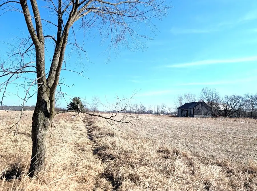 Alp Drive, Pine River, WI 54965 - #2