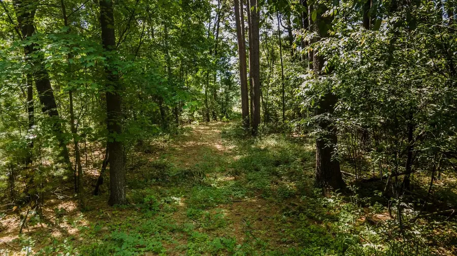 Stone Road #3, Wautoma, WI 54982 - #3