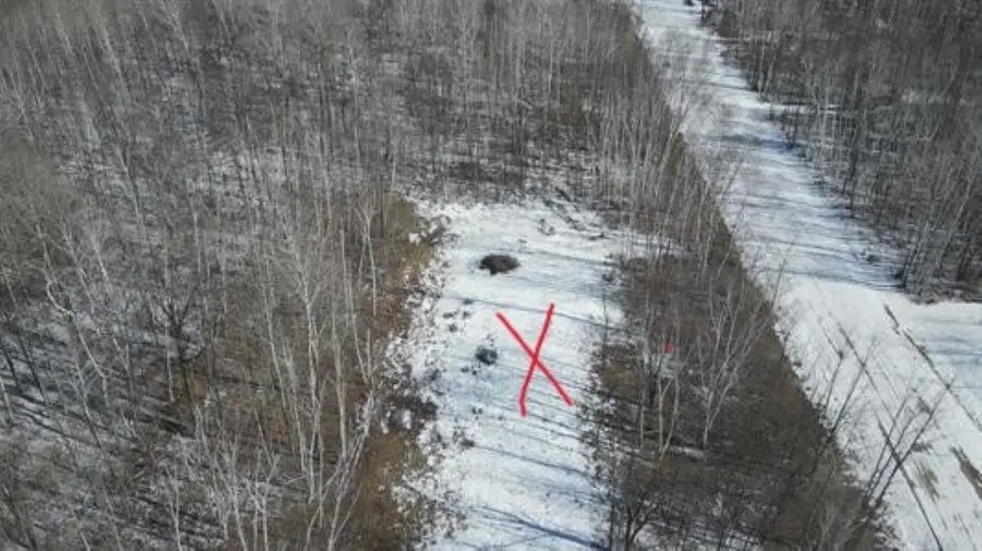 Pioneer Drive, Abrams, WI 54101-9719 - #2