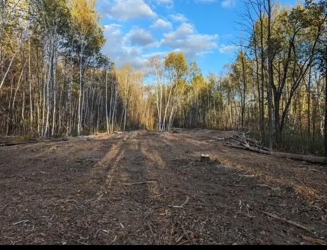 Pioneer Drive, Abrams, WI 54101-9719 - #3