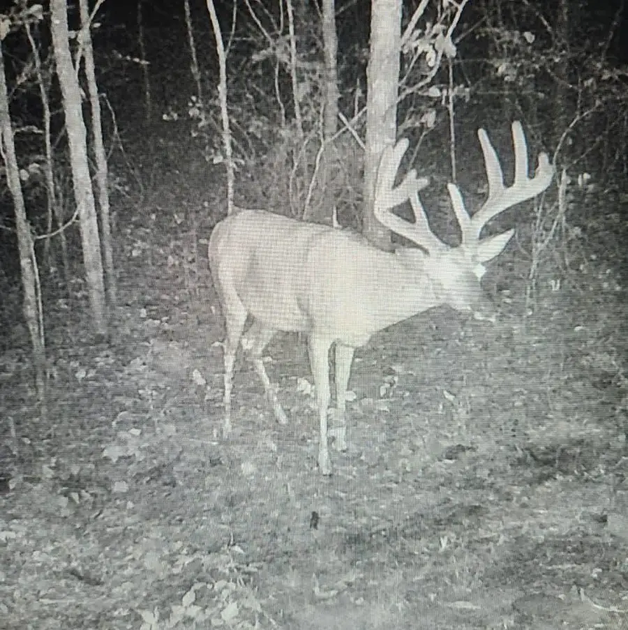 6536 Akron Avenue, Plainfield, WI 54966 - #3