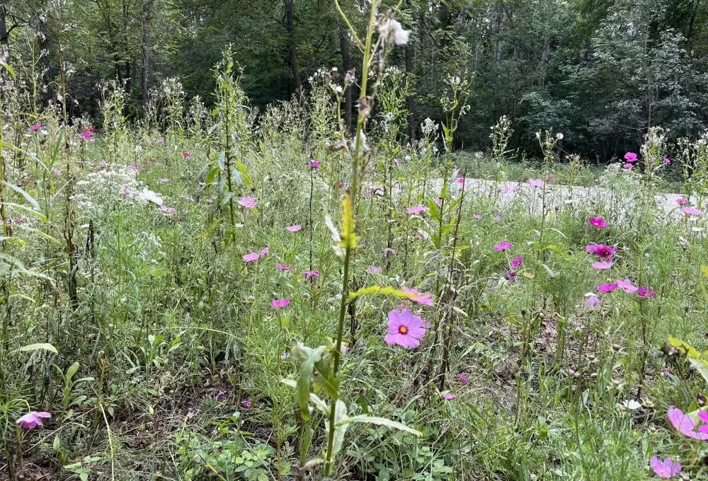 Evergreen Drive #25, Wautoma, WI 54982 - #1