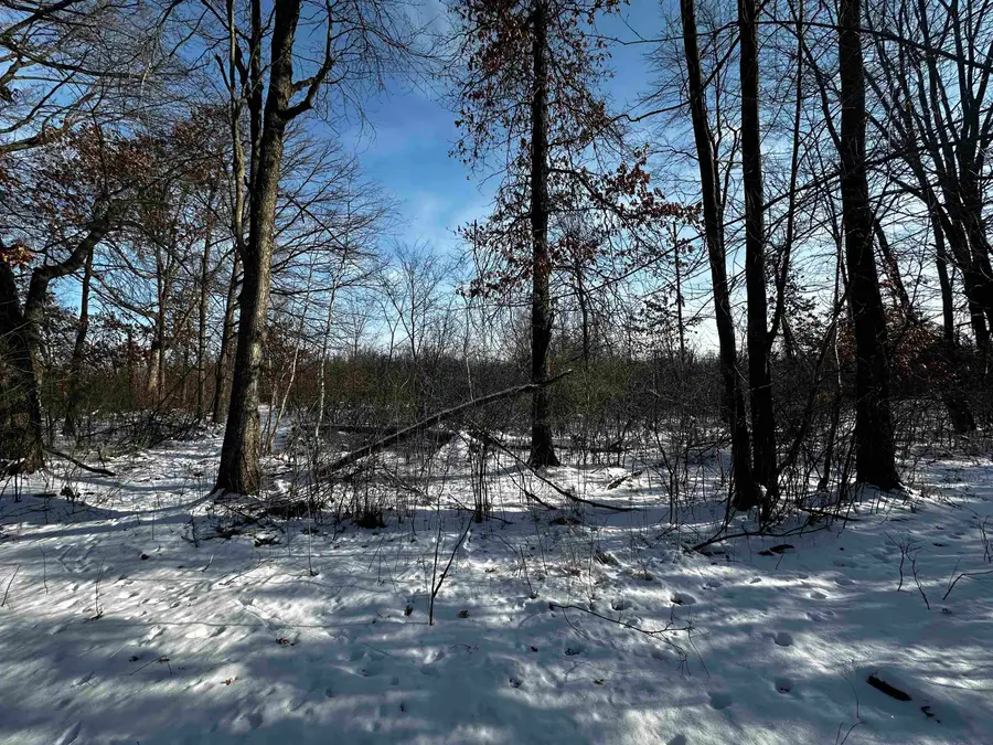 Cty Rd F, Berlin, WI 54923 - #3